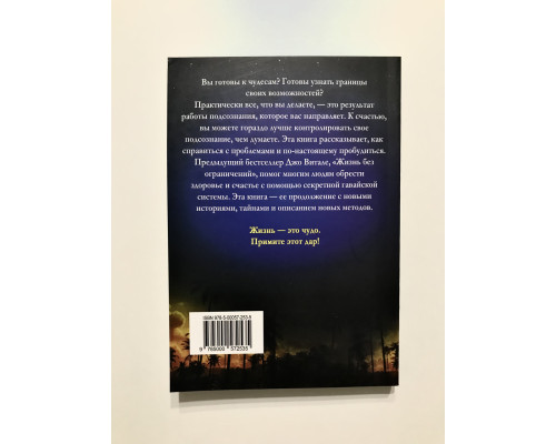 Никаких ограничений. Все тайны поиска чудес с помощью секретной гавайской системы. Джо Витале