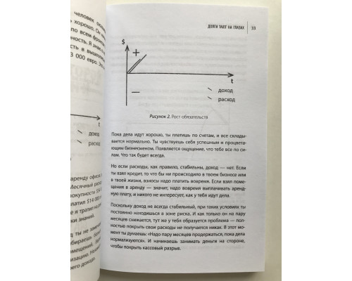 Борги тануть на очах. Стратегія швидкого рятування від фінансового ярма. Давлатов Саїдмурод