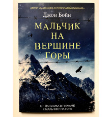 Хлопчик на вершині гори. Джон Бойн