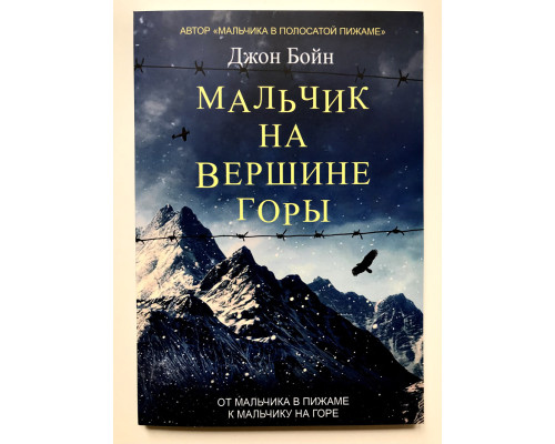 Хлопчик на вершині гори. Джон Бойн