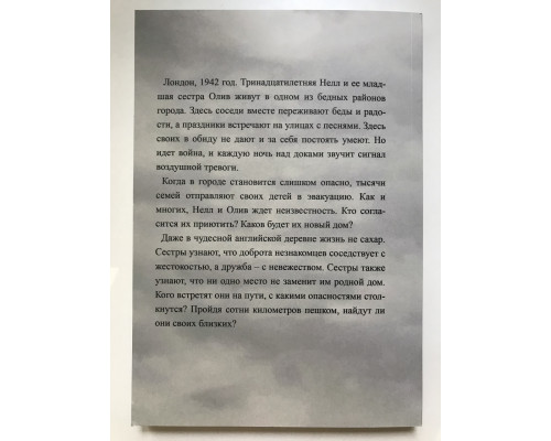 Сбежавшие сестры. Сэнди Тейлор