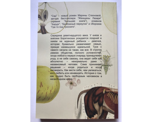 Сад. Марина Степнова