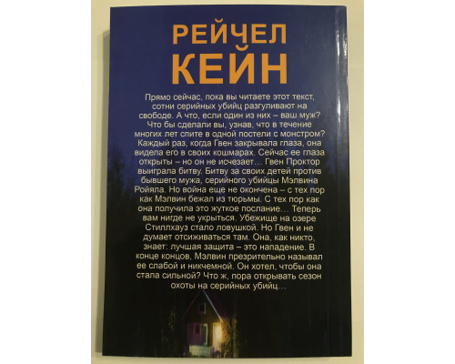 Темный ручей. Рейчел Кейн
