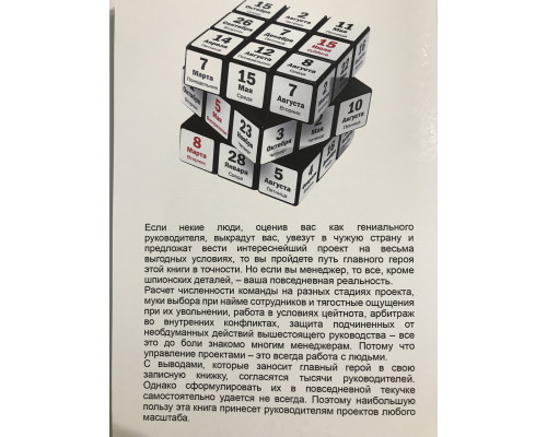 Deadline. Роман об управлении проектами. Том Демарко