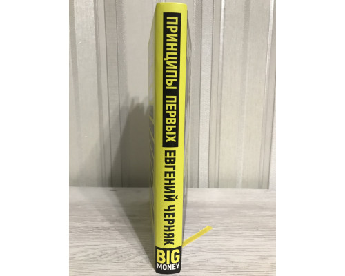 Big Money. Принципы первых. Евгений Черняк