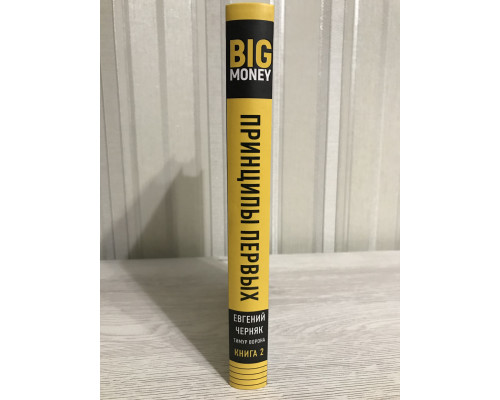 Big money. Принципы первых. Книга 2. Евгений Черняк. Тимур Ворона