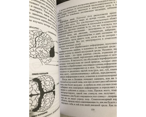 Комплект книг: Сила подсознания + Сам себе плацебо + Сверхъестественный разум + Развивай свой мозг.  Диспенза