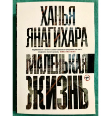 Маленькая жизнь. Ханья Янагихара
