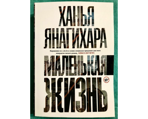 Маленькая жизнь. Ханья Янагихара