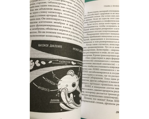 Лимфа и долголетие. Джеральд Лемоль
