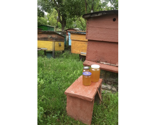 Свежий мед. Разнотравья (сбор- 05.06.2024 ) 1 л