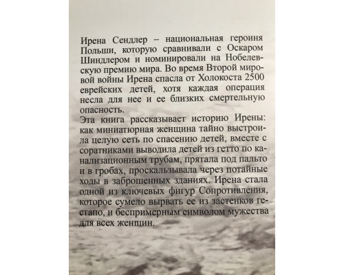 Дети Ирены. Драматическая история женщины, спасшей 2500 детей из варшавского гетто. Тилар Маццео