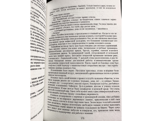 Тень горы. Грегори Дэвид Робертс
