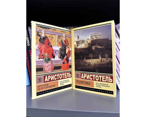 Комплект книг: Категории об истолковании + Политика. Аристотель