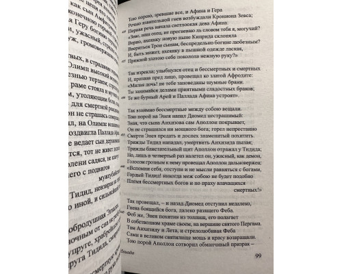 Комплект книг: Илиада + Одиссея. Гомер