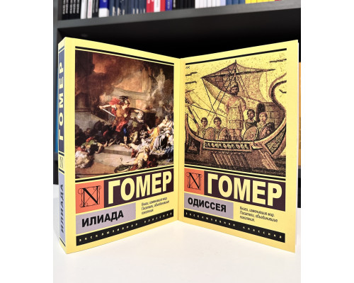 Комплект книг: Илиада + Одиссея. Гомер